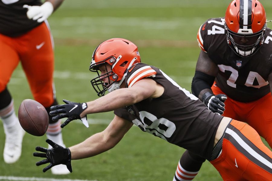 Cleveland Browns tight end Harrison Bryant (88) fumbles the ball during the first half of an NFL football game against the Las Vegas Raiders, Sunday, Nov. 1, 2020, in Cleveland. (AP Photo/Ron Schwane)