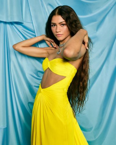 Zendaya Wears Yellow Valentino Dress at Oscars 2021