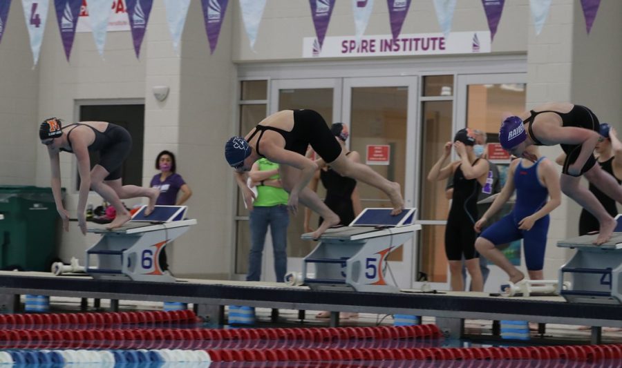 Gwyneth Hamilton (middle) diving into a pool before a meet. 