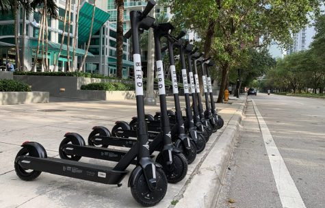 Bird scooters in the wild