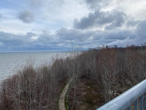 The view from the observation tower in the Lake Erie Bluffs.