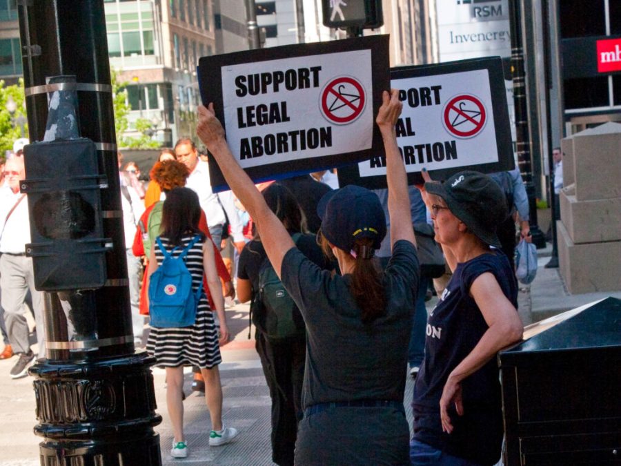 Abortion is a large issue facing Americans today both inside and outside the political sphere.