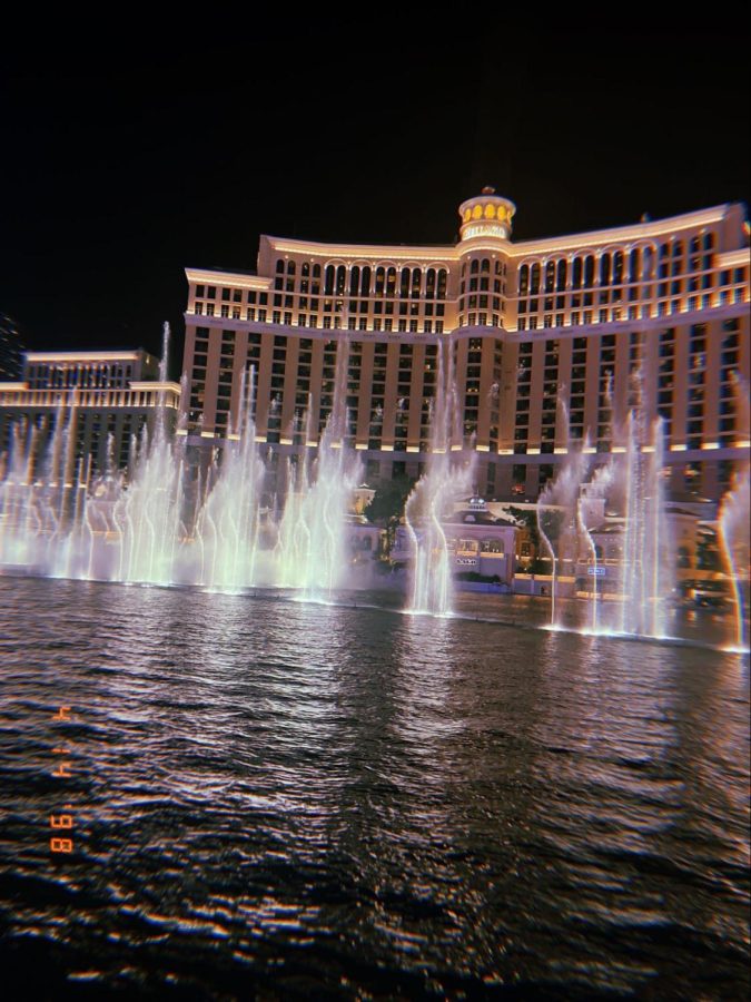 The Bellagio Fountains are a Las Vegas staple; every single person who I asked what to do while away said that I should watch at least one of the shows at this resort. The water did a beautiful number to a musical favorite of mine, “All that Jazz.”