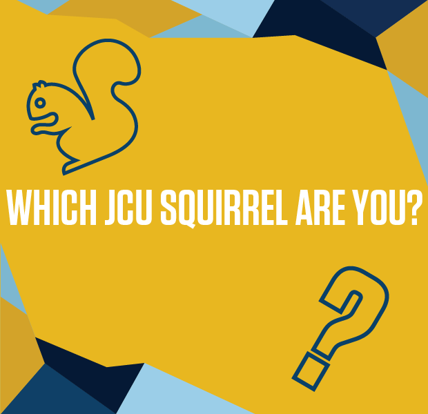 Curious about which squirrel on campus you are? Take this quiz and find out!