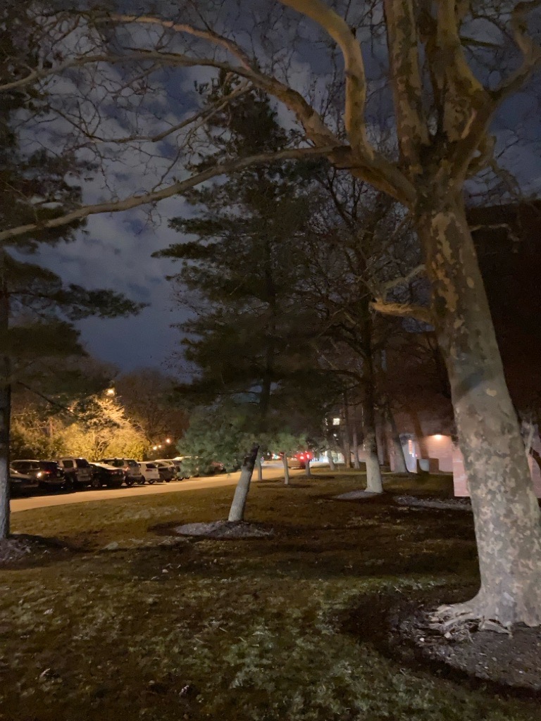 The grass area that is located between Sutowski Hall and Rodman Hall. The sidewalks are somewhat well-lit.