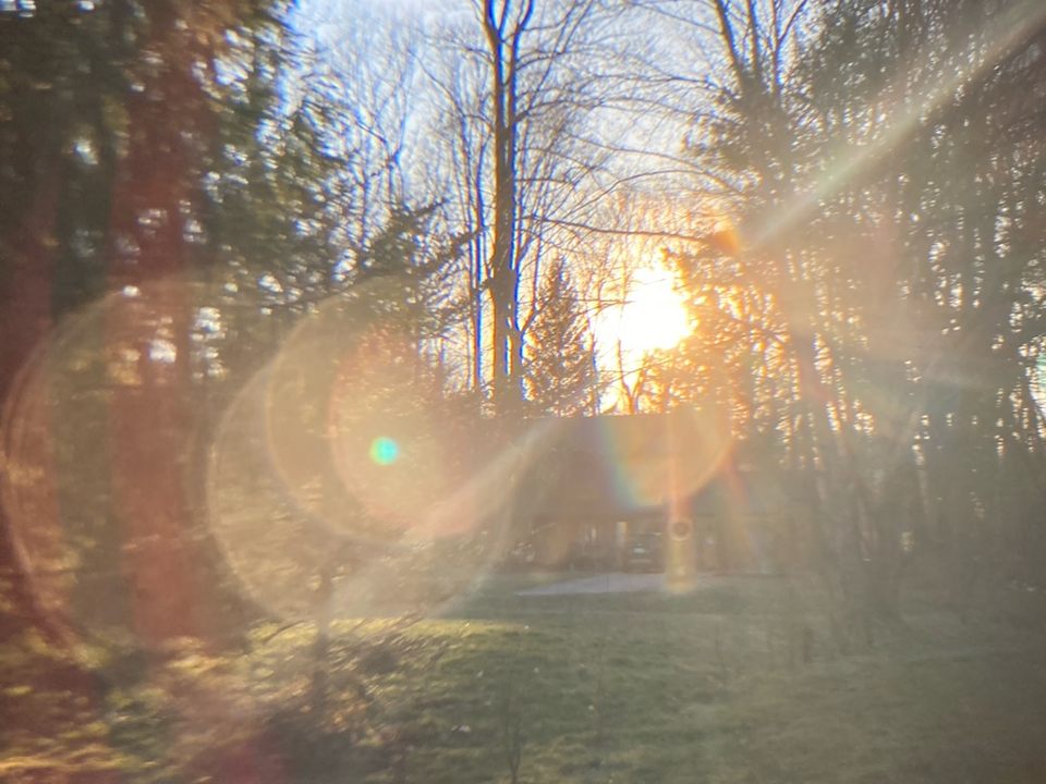A sunset captured from a backyard with a soft filter lens.