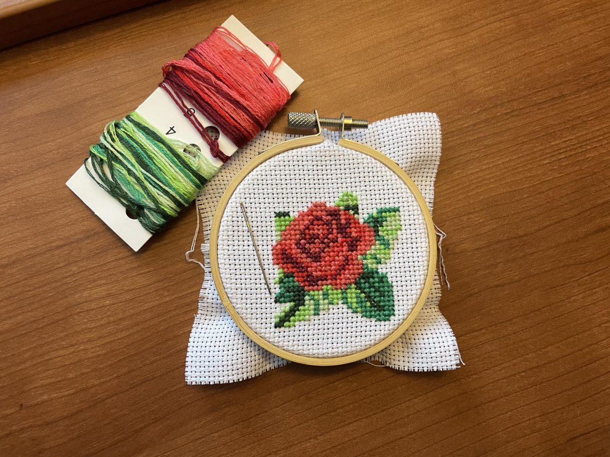 Anna+Maxwells+finished+cross-stitching+of+a+rose+after+three+weeks+of+intermittent+stitching.+