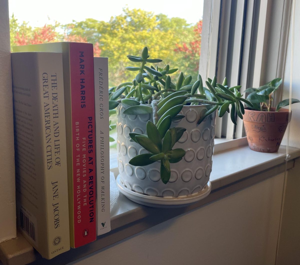 Grace Sherban displays a few of her favorite nonfiction books. 