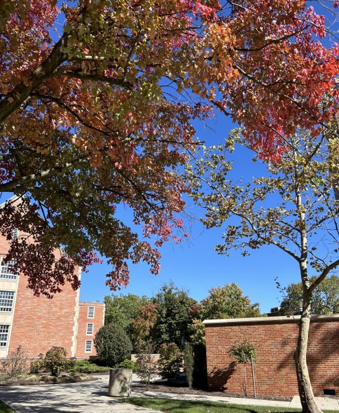 Signs of the autumn season are visible all over campus. 