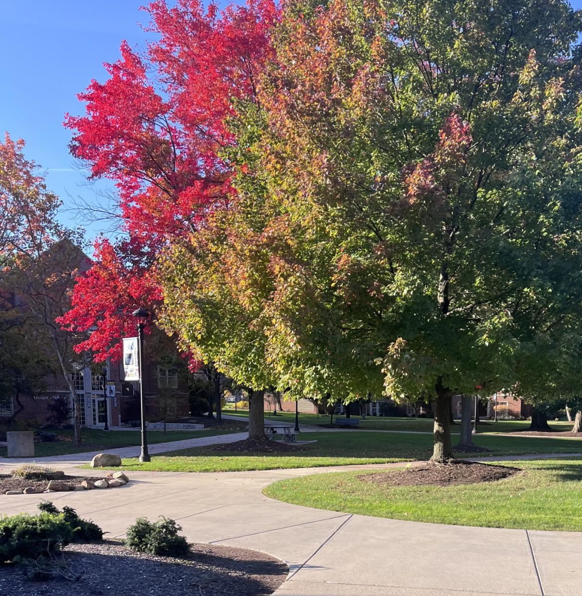 Bella Congelio shares a picture from a walk that she went on during her week. 