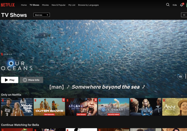 Netflix offers a variety of shows for its viewers to watch. 