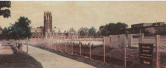 The university cleared land during the summer of 2001 to make room for the construction of the Dolan Science Center.